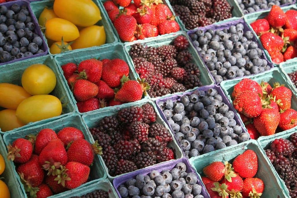 Macronutrients Explained: Carbohydrates, Proteins, and Fats
