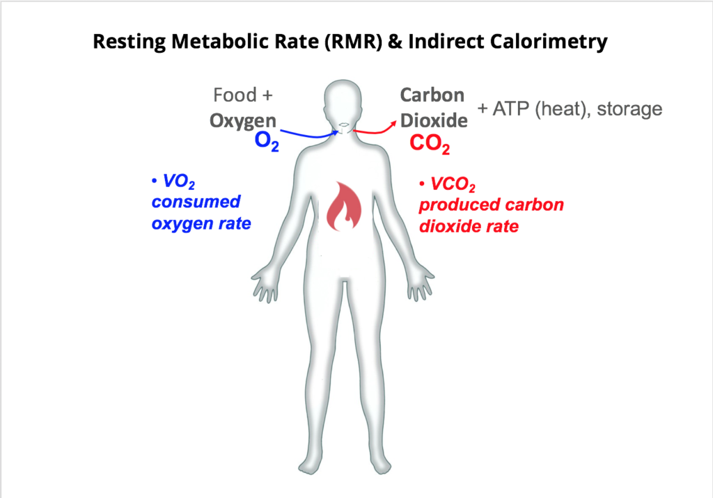 basal metabolic rate basal metabolic rate calculator what is my basal metabolic rate how to increase basal metabolic rate high basal metabolic rate what does basal metabolic rate mean average basal metabolic rate define basal metabolic rate calculate my basal metabolic rate what is your basal metabolic rate what is a good basal metabolic rate basal metabolic rate and weight loss basal metabolic rate and resting metabolic rate basal metabolic rate average basal metabolic rate apple watch basal metabolic rate activity multiplier basal metabolic rate above average basal metabolic rate and calorie deficit basal metabolic rate average for women basal metabolic rate and total daily energy expenditure basal metabolic rate and sweating average basal metabolic rate for women average basal metabolic rate for men apple watch basal metabolic rate average basal metabolic rate by age average female basal metabolic rate accurate basal metabolic rate calculator apple health basal metabolic rate ano ang basal metabolic rate about basal metabolic rate basal metabolic rate better high or low basal metabolic rate by age basal metabolic rate breastfeeding basal metabolic rate by weight basal metabolic rate bmr basal metabolic rate biochemistry basal metabolic rate bmr calculator basal metabolic rate blood test basal metabolic rate below average basal metabolic rate bmr formula bmr basal metabolic rate basal metabolic rate vs resting metabolic rate basal metabolic rate meaning basal metabolic rate calculator for weight loss bmr basal metabolic rate calculator basal metabolic rate how to increase boost basal metabolic rate best basal metabolic rate calculator basal metabolic rate calc basal metabolic rate calories basal metabolic rate calculator kj to calories basal metabolic rate calculator mayo clinic basal metabolic rate calculator for kids basal metabolic rate calculator free basal metabolic rate calorie calculator basal metabolic rate chart calculate basal metabolic rate calculate your basal metabolic rate bmr calculate basal metabolic rate calories calculate basal metabolic rate uk can you increase your basal metabolic rate computing basal metabolic rate calories basal metabolic rate can you change your basal metabolic rate basal metabolic rate definition basal metabolic rate decrease basal metabolic rate during pregnancy basal metabolic rate decreases with age basal metabolic rate depends on basal metabolic rate diagram basal metabolic rate definition nutrition basal metabolic rate decrease meaning basal metabolic rate dropping basal metabolic rate depends closely on difference between basal metabolic rate and resting metabolic rate does basal metabolic rate include walking define basal metabolic rate bmr decreased basal metabolic rate daily basal metabolic rate does basal metabolic rate decrease with age determine basal metabolic rate does basal metabolic rate increase with exercise does your basal metabolic rate change basal metabolic rate equation basal metabolic rate estimate basal metabolic rate explained basal metabolic rate en español basal metabolic rate example basal metabolic rate exercise basal metabolic rate easy definition basal metabolic rate explanation basal metabolic rate energy expenditure basal metabolic rate equation formula explain basal metabolic rate estimate basal metabolic rate eating below basal metabolic rate explain the term basal metabolic rate estimate my basal metabolic rate eating less than basal metabolic rate equation for basal metabolic rate eating under basal metabolic rate eating at basal metabolic rate basal metabolic rate formula basal metabolic rate for weight loss basal metabolic rate for women basal metabolic rate for men basal metabolic rate for kids basal metabolic rate factors basal metabolic rate for 200 lb man basal metabolic rate formula female basal metabolic rate for children basal metabolic rate formula for men factors affecting basal metabolic rate formula for basal metabolic rate find my basal metabolic rate find basal metabolic rate female basal metabolic rate formula to calculate basal metabolic rate factors that increase basal metabolic rate include free basal metabolic rate calculator factors influencing basal metabolic rate find your basal metabolic rate bmr basal metabolic rate good range basal metabolic rate garmin basal metabolic rate gcse basal metabolic rate graph basal metabolic rate good basal metabolic rate going down basal metabolic rate gcse biology basal metabolic rate gland basal metabolic rate garmin connect basal metabolic rate going up good basal metabolic rate garmin basal metabolic rate good basal metabolic rate for women good basal metabolic rate for men garnet health basal metabolic rate calculator gland that secretes a hormone controlling basal metabolic rate garmin connect basal metabolic rate gland that controls basal metabolic rate garnet health basal metabolic rate google fit basal metabolic rate basal metabolic rate how to calculate basal metabolic rate high basal metabolic rate how many calories basal metabolic rate high or low basal metabolic rate harris benedict equation basal metabolic rate how to improve basal metabolic rate how to measure basal metabolic rate high meaning basal metabolic rate hume how to calculate basal metabolic rate how to find basal metabolic rate how to improve basal metabolic rate how to calculate my basal metabolic rate how to determine basal metabolic rate how to increase your basal metabolic rate how to measure basal metabolic rate high basal metabolic rate meaning basal metabolic rate increase in pregnancy basal metabolic rate in spanish basal metabolic rate is lowered by basal metabolic rate is basal metabolic rate increase basal metabolic rate in kj basal metabolic rate inbody basal metabolic rate in pregnancy basal metabolic rate inbody scan basal metabolic rate in calories is basal metabolic rate the same as maintenance calories increase basal metabolic rate is basal metabolic rate the same as resting metabolic rate is a high basal metabolic rate good if my basal metabolic rate is 1500 inbody basal metabolic rate ideal basal metabolic rate is basal metabolic rate is it good to have a high basal metabolic rate is basal metabolic rate your maintenance calories basal metabolic rate journal basal metabolic rate jelentése basal metabolic rate jurnal basal metabolic rate jelentése magyarul basal metabolic rate calculator james smith basal metabolic rate in joules basal metabolic rate mifflin st jeor basal metabolic rate mifflin st jeor equation basal metabolic rate calculator mifflin st jeor jeff nippard basal metabolic rate james smith basal metabolic rate jurnal basal metabolic rate basal metabolic rate kj basal metabolic rate kcal to calories basal metabolic rate kj meaning basal metabolic rate kcal basal metabolic rate kcal meaning basal metabolic rate kj to calories basal metabolic rate kj to kcal basal metabolic rate kya hota hai basal metabolic rate kitna hona chahiye basal metabolic rate kids kcal basal metabolic rate kj basal metabolic rate kids basal metabolic rate basal metabolic rate meaning in kannada basal metabolic rate kaise badhaye basal metabolic rate low meaning basal metabolic rate là gì basal metabolic rate low basal metabolic rate levels basal metabolic rate lower than normal basal metabolic rate lose weight basal metabolic rate lab test basal metabolic rate luteal phase basal metabolic rate lower basal metabolic rate lean mass low basal metabolic rate low basal metabolic rate meaning lower basal metabolic rate lowest basal metabolic rate low basal metabolic rate causes low basal metabolic rate symptoms lowest possible basal metabolic rate lean body mass and basal metabolic rate lowest recorded basal metabolic rate lose weight basal metabolic rate basal metabolic rate men vs women basal metabolic rate measurement basal metabolic rate men basal metabolic rate mdcalc basal metabolic rate meaning in hindi basal metabolic rate meaning in tamil basal metabolic rate meaning in bengali basal metabolic rate meaning in urdu basal metabolic rate meaning in telugu my basal metabolic rate meaning of basal metabolic rate metabolic rate vs basal metabolic rate measure basal metabolic rate make a prediction about the basal metabolic rate most accurate basal metabolic rate calculator mayo clinic basal metabolic rate calculator my basal metabolic rate calculator male basal metabolic rate basal metabolic rate normal range female basal metabolic rate normal range basal metabolic rate normal range male basal metabolic rate normal range by age basal metabolic rate normal basal metabolic rate normal value basal metabolic rate nedir basal metabolic rate nhs basal metabolic rate notes basal metabolic rate normal range kj normal basal metabolic rate normal basal metabolic rate for women normal basal metabolic rate for men name the hormone which stimulates the basal metabolic rate normal range of basal metabolic rate nhs basal metabolic rate calculator normal basal metabolic rate in percentage normal value of basal metabolic rate name the hormone that regulates basal metabolic rate basal metabolic rate oura ring basal metabolic rate on inbody basal metabolic rate of the body is regulated by basal metabolic rate of a human basal metabolic rate oet reading answers basal metabolic rate over meaning basal metabolic rate oura basal metabolic rate on apple watch basal metabolic rate oxygen consumption basal metabolic rate over outline what basal metabolic rate bmr is one factor affecting basal metabolic rate oura basal metabolic rate online basal metabolic rate calculator oura ring basal metabolic rate optimal basal metabolic rate one way to characterize your basal metabolic rate is of basal metabolic rate omni calculator basal metabolic rate outline what basal metabolic rate bmr is ac 1.7 basal metabolic rate pronunciation basal metabolic rate pregnancy basal metabolic rate per hour basal metabolic rate ppt basal metabolic rate pdf basal metabolic rate physiology basal metabolic rate procedure basal metabolic rate per kg basal metabolic rate plus active calories basal metabolic rate psychology definition provide the equation to calculate bmr basal metabolic rate pcos basal metabolic rate primary determinant of basal metabolic rate pregnancy basal metabolic rate pronounce basal metabolic rate pediatric basal metabolic rate calculator poor basal metabolic rate ppt on basal metabolic rate purpose of basal metabolic rate basal metabolic rate que es basal metabolic rate quiz basal.metabolic rate questions basal metabolic rate quizlet basal metabolic rate and respiratory quotient resting metabolic rate is the quizlet what increases basal metabolic rate quizlet basal metabolic rate refers to quizlet que es basal metabolic rate en español factors that increase basal metabolic rate include quizlet que es el basal metabolic rate que significa basal metabolic rate en español when should the basal metabolic rate be measured quizlet what happens to the basal metabolic rate during starvation quizlet basal metabolic rate range basal metabolic rate reddit basal metabolic rate range women basal metabolic rate refers to basal metabolic rate represents basal metabolic rate regulation resting metabolic rate rmr resting metabolic rate rmr test resting metabolic rate rmr calculator resting metabolic rate rmr test near me resting metabolic rate vs basal metabolic rate resting basal metabolic rate resting basal metabolic rate calculator resting energy expenditure vs basal metabolic rate raise basal metabolic rate reduced basal metabolic rate regulation of basal metabolic rate resting energy vs basal metabolic rate reasons for low basal metabolic rate reddit basal metabolic rate basal metabolic rate should be high or low basal metabolic rate scale basal metabolic rate sweating basal metabolic rate samsung health basal metabolic rate sedentary lifestyle basal metabolic rate same as maintenance calories basal metabolic rate simple definition basal metabolic rate score basal metabolic rate slideshare basal metabolic rate short note standard metabolic rate vs basal metabolic rate is basal metabolic rate the same as resting energy expenditure samsung health basal metabolic rate should basal metabolic rate be high or low standard basal metabolic rate should basal metabolic rate be high should i eat my basal metabolic rate should you eat your basal metabolic rate basal metabolic rate testing near me basal metabolic rate test basal metabolic rate to lose weight basal metabolic rate to maintenance calories basal metabolic rate to calories basal metabolic rate table basal metabolic rate tdee basal metabolic rate thyroid basal metabolic rate tdee calculator basal metabolic rate to calorie deficit the basal metabolic rate the primary determinant of basal metabolic rate is an individual's typical basal metabolic rate tdee vs basal metabolic rate the hormone that most influences basal metabolic rate is hormone the term basal metabolic rate reflects the the best predictor of your basal metabolic rate is the basal metabolic rate measures the rate at which the basal metabolic rate is most accurately defined as tdee basal metabolic rate basal metabolic rate units basal metabolic rate uk basal metabolic rate uses basal metabolic rate untuk apa basal metabolic rate used in a sentence basal metabolic rate under resting metabolic rate units resting metabolic rate uk basal metabolic rate calculator uk basal metabolic rate calculator uk nhs understanding basal metabolic rate unit of basal metabolic rate using basal metabolic rate to lose weight use of basal metabolic rate under which conditions is basal metabolic rate measured what is basal metabolic rate how to speed up basal metabolic rate basal metabolic rate vs maintenance calories basal metabolic rate vs metabolic rate basal metabolic rate vs resting energy expenditure basal metabolic rate vs standard metabolic rate basal metabolic rate vs tdee basal metabolic rate vs total energy expenditure basal metabolic rate vs sedentary basal metabolic rate vs rmr basal metabolic rate vs bmi variation in basal metabolic rate very low basal metabolic rate variance in basal metabolic rate very high basal metabolic rate maintenance calories vs basal metabolic rate basal metabolic rate what is it basal metabolic rate women basal metabolic rate weight loss basal metabolic rate wiki basal metabolic rate when sick basal metabolic rate weight loss calculator basal metabolic rate with body fat basal metabolic rate women calculator basal metabolic rate what is good basal metabolic rate women average what is basal metabolic rate bmr what is a high basal metabolic rate what is the average basal metabolic rate work out basal metabolic rate basal metabolic rate and factors affecting it basal metabolic rate and thyroid hormones basal metabolic rate and tdee basal metabolic rate and weight loss calculator basal metabolic rate and age basal metabolic rate and calorie intake basal metabolic rate and exercise basal metabolic rate examples dexa basal metabolic rate cell basal metabolic rate basal metabolic rate 40 year old male basal metabolic rate for 50 year old woman basal metabolic rate 20 year old male basal metabolic rate 15 year old male basal metabolic rate 12 year old basal metabolic rate 40 year old female basal metabolic rate 30 year old male basal metabolic rate 13 year old basal metabolic rate 55 year old woman your basal metabolic rate your basal metabolic rate bmr your basal metabolic rate is primarily determined by your basal metabolic rate bmr refers to your basal metabolic rate refers to your basal metabolic rate increases as you age your basal metabolic rate bmr is how many how to calculate your basal metabolic rate basal metabolic rate znacenje basal metabolic rate co to znaczy define bmr basal metabolic rate what is basal metabolic rate formula basal metabolic rate percentiles basal metabolic rate of mammals basal metabolic rate primates the zoogeography of mammalian basal metabolic rate metabolic z score basal metabolic rate o que é basal metabolic rate o que significa basal metabolic rate of 2200 basal metabolic rate of 2000 basal metabolic rate of 1400 basal metabolic rate fever low basal metabolic index low basal metabolic rates normal basal metabolic rate by age normal basal metabolic rate calculator basal metabolic rate 1500 calories basal metabolic rate 1600 basal metabolic rate 1400 basal metabolic rate 1800 basal metabolic rate 1200 basal metabolic rate 1100 basal metabolic rate 1350 basal metabolic rate 1400 calories basal metabolic rate 1200 calories 1800 basal metabolic rate 1700 basal metabolic rate 1300 basal metabolic rate 1500 basal metabolic rate 1600 basal metabolic rate 1400 basal metabolic rate 1900 basal metabolic rate 1200 basal metabolic rate 1800 kcal basal metabolic rate basal metabolic rate 2000 basal metabolic rate 2000 calories basal metabolic rate 2100 basal metabolic rate 2200 basal metabolic rate 24 hours basal metabolic rate 2300 basal metabolic rate 2025 resting metabolic rate 2000 calories 2000 basal metabolic rate 2100 basal metabolic rate 2200 basal metabolic rate 2500 basal metabolic rate basal metabolic rate for 24 year old female basal metabolic rate for a 25-year-old male basal metabolic rate for 27 year old male basal metabolic rate 3000 basal metabolic rate third trimester basal metabolic rate for 35 year old woman average basal metabolic rate for 30 year old male what is basal metabolic rate (bmr basal metabolic rate 1360 basal metabolic rat3 3 factors that affect basal metabolic rate basal metabolic rate for 30 year old male after age 30 a person's basal metabolic rate bmr mammalian basal metabolic rate is proportional to body mass2 3 what is a good basal metabolic rate for a woman basal metabolic rate 47 year old woman basal metabolic rate 45 year old woman basal metabolic rate for men and women average basal metabolic rate for 40 year old woman basal metabolic rate for 44 year old woman the basal metabolic rate is 40-50 of the calories consumed basal metabolic rate is determined by which four (4) factors basal metabolic rate for 5'4 female basal metabolic rate 5 mark basal.metabolic.rate 5000 basal metabolic rate for 50 year old man basal metabolic rate for 57 year old woman basal metabolic rate for 50 year old female basal metabolic rate for 5 2 female basal metabolic rate 60 year old man basal metabolic rate 6000 basal metabolic rate for 60 year old woman basal metabolic rate for 65 year old man basal metabolic rate score 6 how is basal metabolic rate calculated basal metabolic rate for 60 year old male is basal metabolic rate accurate how do i calculate my basal metabolic rate manually basal metabolic rate for 70 year old woman basal metabolic rate score 7 7 what is metabolic rate normal basal metabolic rate female metabolic basal meaning basal metabolic rate 8000 basal metabolic rate score 8 basal metabolic rate babies basal metabolic rate 1341 what is the basal metabolic rate for a female 10 basal metabolic rate 8 metabolic equivalents basal metabolic rate score 9 basal metabolic rate score 9 female basal metabolic rate with fever basal metabolic rate percentile 9 metabolic equivalents
